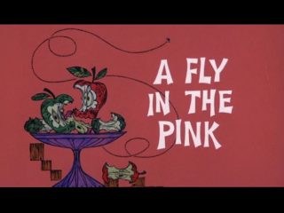 A Fly In The Pink