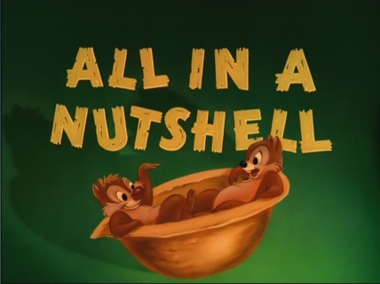 Donald Duck All In A Nutshell B98.TV