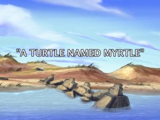 A Turtle Named Myrtle
