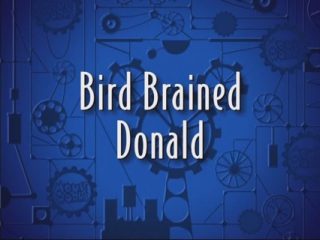 Bird Brained Donald