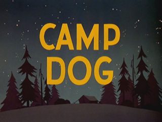 Camp Dog