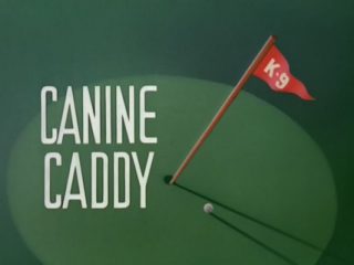 Canine Caddy