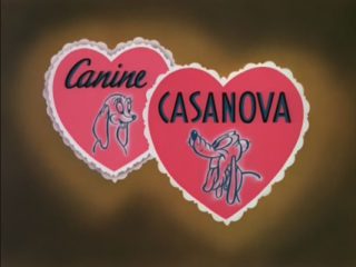 Canine Casanova