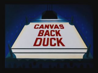 Canvas Back Duck