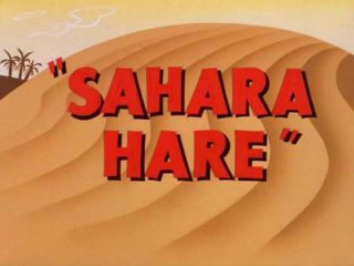 Sahara Hare