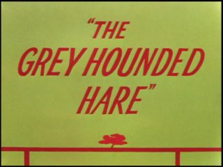 The Grey Hounded Hare