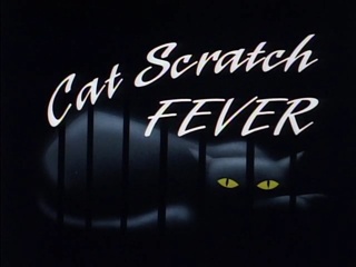 Cat Scratch Fever