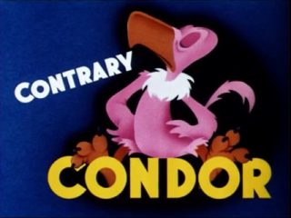 Contrary Condor