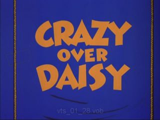 Crazy Over Daisy