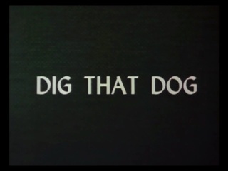 Dig That Dog