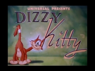 Dizzy Kitty