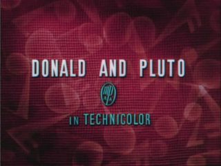 Donald and Pluto