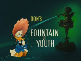 Don’s Fountain Of Youth