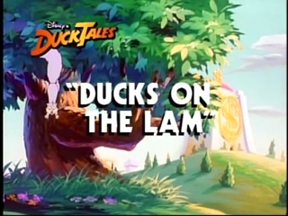 Ducks on the Lam