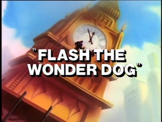 Flash the Wonder Dog