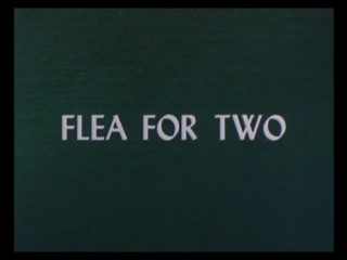 Flea For Two