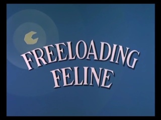 Freeloading Feline