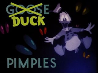 Duck Pimples