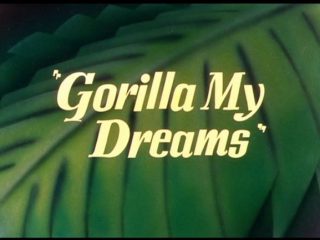 Gorilla My Dreams