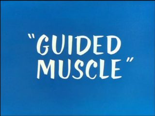 Guided Muscle