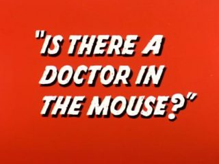 Is There A Doctor In The Mouse?