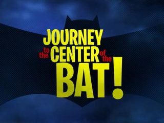 Journey to the Center of the Bat!
