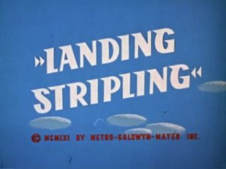 Landing Stripling