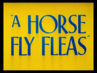 A Horse Fly Fleas