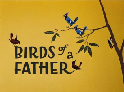 Looney Tunes - Birds of a Father | B98.TV