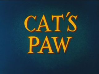 Cat’s Paw