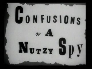 Confusions of a Nutzy Spy