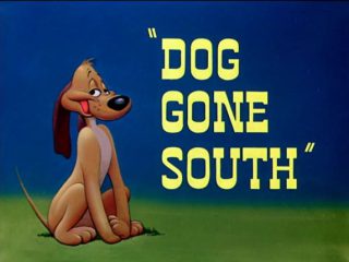 Dog Gone South