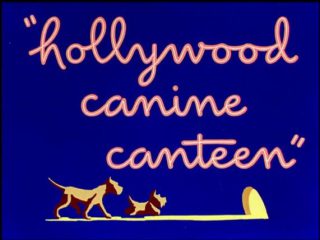 Hollywood Canine Canteen