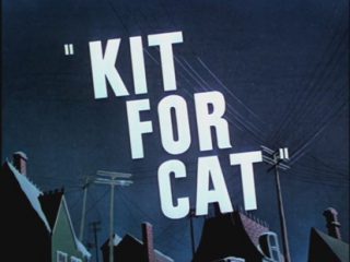 Kit For Cat