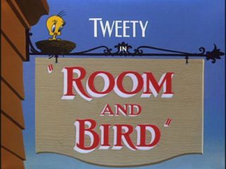 Room And Bird