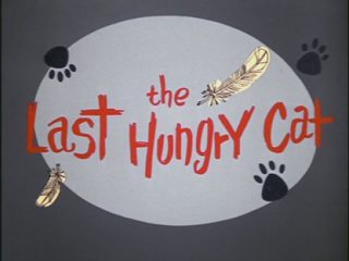 The Last Hungry Cat