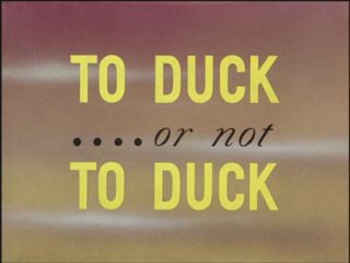 To Duck… or Not to Duck