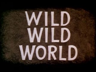 Wild Wild World