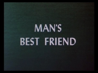 Man’s Best Friend