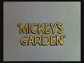 Mickey’s Garden