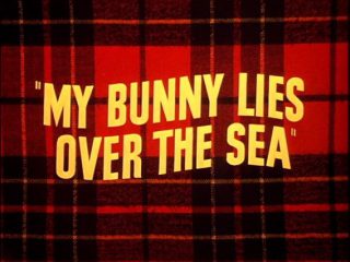 My Bunny Lies Over The Sea