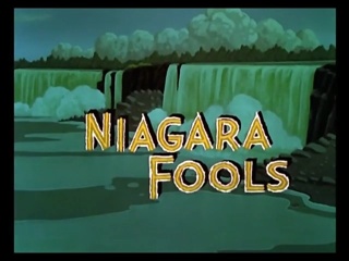 Niagara Fools