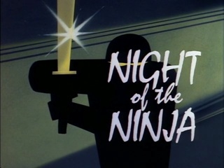 Night Of The Ninja