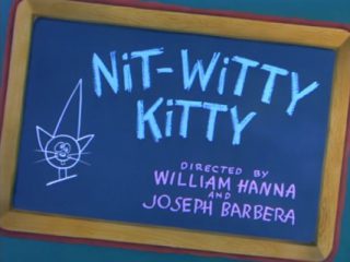 Nit-Witty Kitty