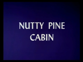 Nutty Pine Cabin