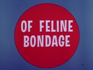 Of Feline Bondage