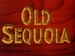 Old Sequola