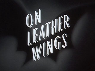 On Leather Wings