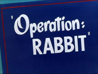 Operation: Rabbit