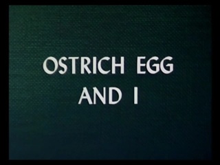 Ostrich Egg And I